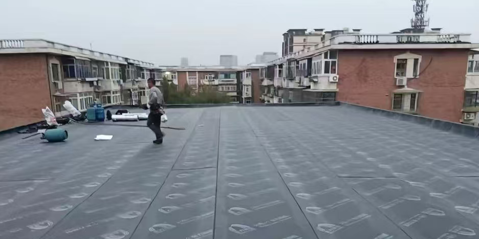 图片15.png